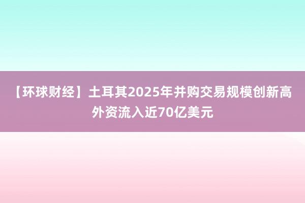 【環(huán)球財經(jīng)】土耳其2025年并購交易規(guī)模創(chuàng)新高 外資流入近70億美元