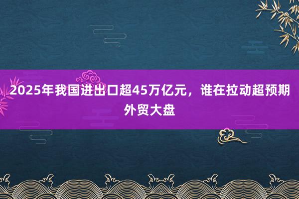 2025年我國進(jìn)出口超45萬億元，誰在拉動(dòng)超預(yù)期外貿(mào)大盤