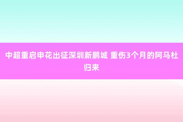 中超重啟申花出征深圳新鵬城 重傷3個(gè)月的阿馬杜歸來(lái)
